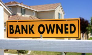The REO Guide